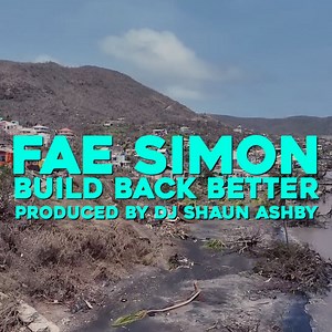 Build Back Better, by Fae Simon