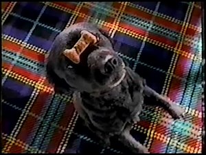 90's Commercials Vol. 173