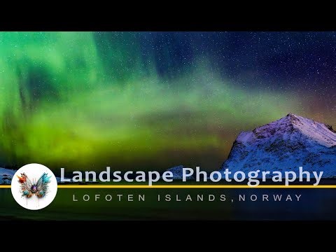Winter in Lofoten, Norway. Time Lapse Photography Aurora Borealis.