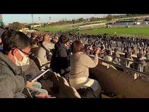 2021年11月28日 第41回 ジャパンカップ（G1）現地撮影