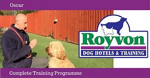 WATCH: Ross trained Oscar the Cockapoo through Royvon’s #CompleteTrainingProgramme! In the video you’ll see Oscar practicing his stay and sit commands wonderfully, even while other dogs are being trained around him. This video will also showcase the final lesson with Oscar and his owner and their amazing feedback. #RoyvonDogTraining | Royvon Dog Training & Hotels