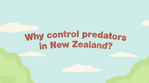 We need to give our native wildlife and forests the chance to survive and thrive once again. Here is why we control invasive predators in New Zealand... | Department of Conservation