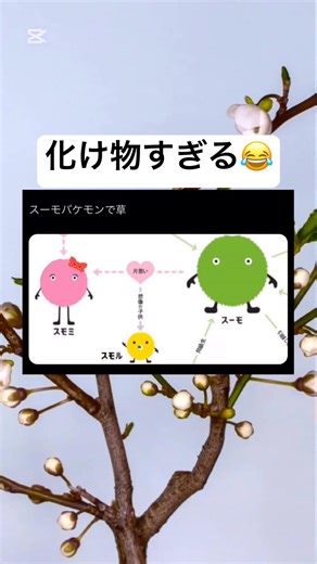 怖すぎるwww #shorts #おもしろ #スーモ #家族 #ネタ