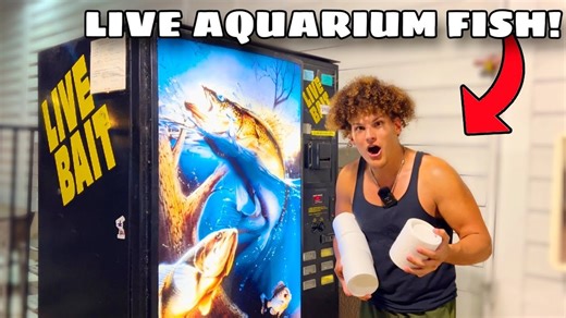 This Machine Sells Live Fish 😳 | Rob’s Aquatics