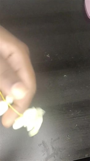 Exploring the World of Vijay TV Serials