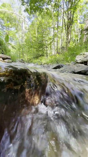 Gentle water trickling over rocks 🎧 #shorts #natureshorts #nature #relaxing