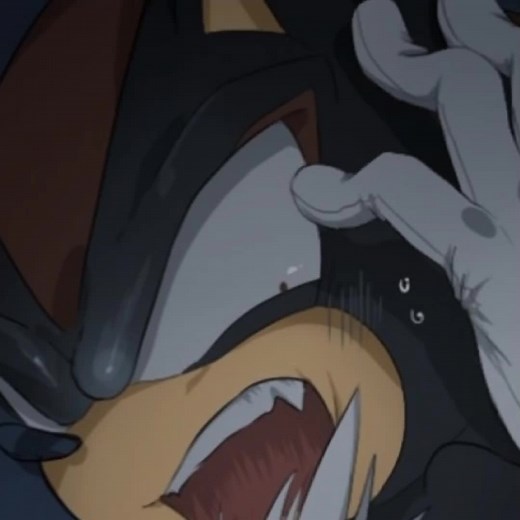 Sonic Pregnant with Shadow? What's the Truth?