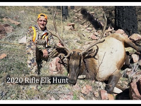 Rifle Elk Hunt | Colorado 3rd Season | 2020
