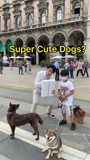 MacBook or Super Cute Dogs? #foryou #dogs #cute #viral #happy #ending