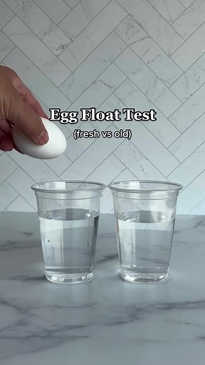 Egg Float Test: How to Tell if Your Eggs Are Too Old