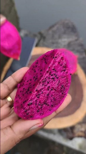How to Cut the Dragon Fruit | Red Dragon Fruit 🍓✨
