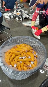 Cutting thousands of mullet fish for luxurious fish roe #mulletfish #fishroe #luxuryseafood #foodreels | Food Adventure