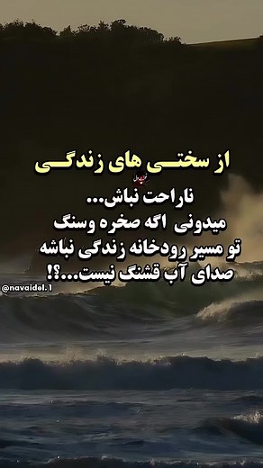 Vector Vectory on TikTok