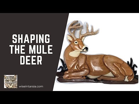 Shaping the Kathy Wise Designs Mule Deer Intarsia Woodworking Project