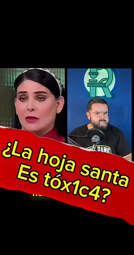 ¿Es verdad que la hoja santa es tóxica? #Ciencia #rafacarbajal #alimentos | Rafa Carbajal