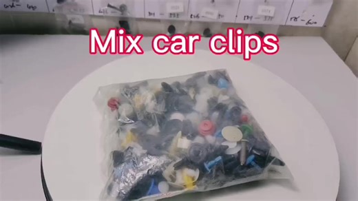 Mixed Auto Fastener Door Panel Clips Automotive Plastic Clips