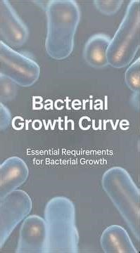 Understanding the Bacterial Growth Curve and Its Four Distinct Phases