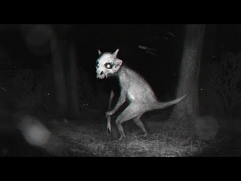 5 POKEMON Caught On Tape That You Can Catch In REAL LIFE!