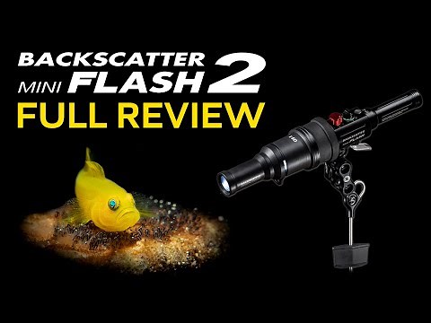 Mini Flash 2: The Best Underwater Macro Strobe | Full Review