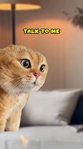 I used to be a Kristian... 😅 (CAT VERSION🐈) ‎⁨@Brioanimations⁩ | Shercat Holmes Junior