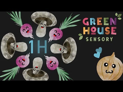 1 HOUR High Contrast Sensory Video For Babies And Toddlers - Fun music video to help parents