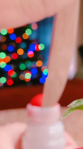 How to Reuse a Slime Licker Bottle with Ease