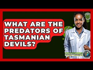 What Are The Predators Of Tasmanian Devils? - Earth Science Answers