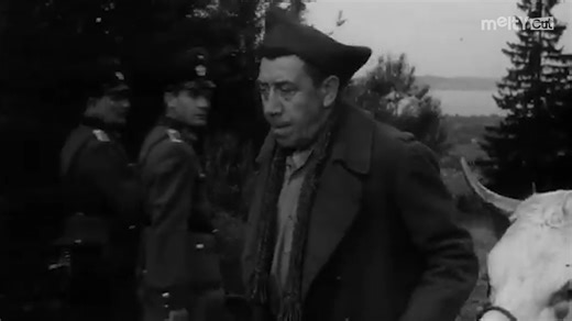Le film est inspiré d’une histoire vraie, celle d’un prisonnier de guerre français qui aurait effectivement traversé l’Allemagne avec une vache pour tenter de rentrer chez lui ! Bourvil, lui, s’est tellement attaché à Marguerite, la vache du tournage, qu’il a demandé à la production si elle pouvait venir vivre chez lui après la fin du film (ce qui n’a malheureusement pas été possible). | Les Meilleures Scènes