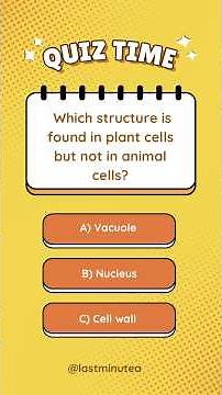 🔬 Grade 10 Life Sciences Quiz: Structure of the Cell