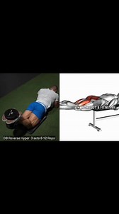 Best 3 hamstring workout at gym #hamstring #fitness #legday #glutes #hamstrings #hamstringworkout #workout #physiotherapy #gym #bodybuilding #quads #kneepain #hamstringstretch #rehab #acl #squat #yoga #anklepain #strength | Workout and fitness