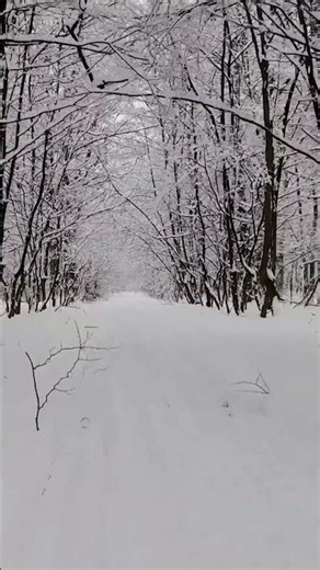 [Alexandros] SNOW SOUND アカペラ サビ #ウィンターソング #バラード #shorts お仕事のご相談はメールにてご連絡ください kamui639936@gmail.com