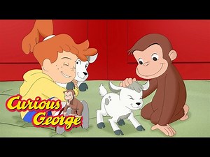 Learning About Animals with George 🐵 Curious George 🐵 Kids Cartoon 🐵 Kids Movies - Videos For Kids