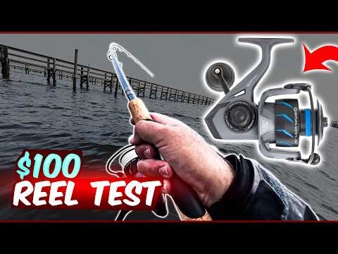 Quantum Merit 4000 Review | Affordable Saltwater Reel for Florida Inshore Fishing