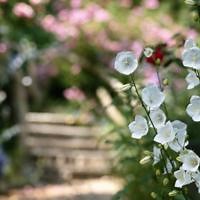 Changes in the Weather and How It Affects Senior Health