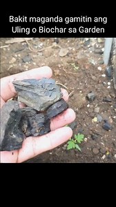 The best of Biochar in the Garden #agrinihan | Agrinihan