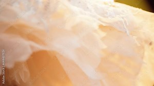 Close-up shot in slow motion: we see a ballet dancer slowly spinning in a circle, only part of the sparkling ballet dress is visible in the glow of theater lights.