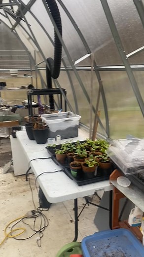 We are a small farm, and we know there are others that depend more on income from sales than we do. People like Avery Acres, Brycarda Alpacas, Randy, and Keith who run large heads of beef cattle, Mayfair farms, just to name a few. having said that we need to buy local, support local, and develop our own ability to support ourselves, and our families. | Forget Me Not Farm