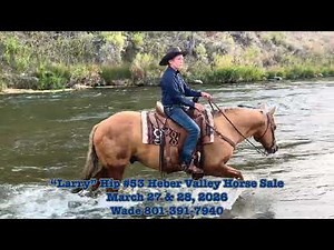 “Larry” hip #53 Heber Valley Horse Sale 3/28/2026