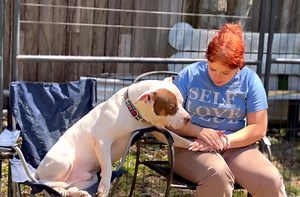 VRC KIDS PRESENTS: Kayce! Amelia and Kayce spending time together. This is the sweetest little moment captured. ❤️To adopt Kayce go to: https://www.vrcpitbull.com/dogs/kayce/. | Villalobos Rescue Center - Life 4 Paws, Inc.