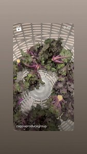 Sydney Markets on Reels | Facebook