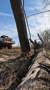 118K views · 852 reactions | Here is the front view of the hinge technique. It was a windy day an it took a while for the tree to fall, but using this technique helps me feel a lot safer in those situations | Boys In The Woods | Facebook