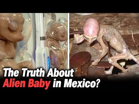 “Alien Baby” Once Found in Mexico – What’s the Truth Behind It?