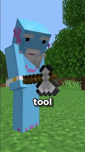 Getting old in Minecraft