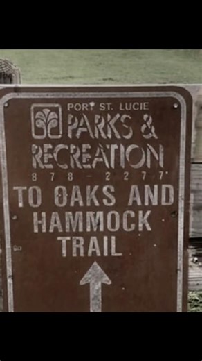 The Devils Tree #rsparanormal #ghosthunting #horror #truecrime