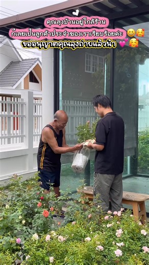 #Treeno.9 #ต้นไม้แต่งบ้าน | Treeno.9