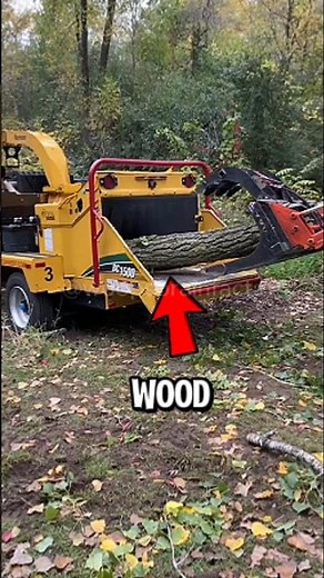 How Paper is Made😱