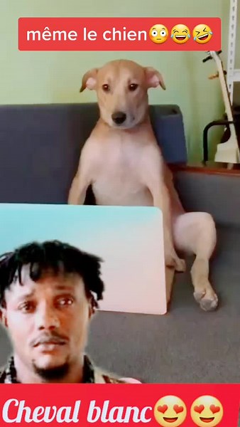 Brillant Kambiol (@chevalblanc175)’s videos with Funny Laugh no no no - Sound Effect