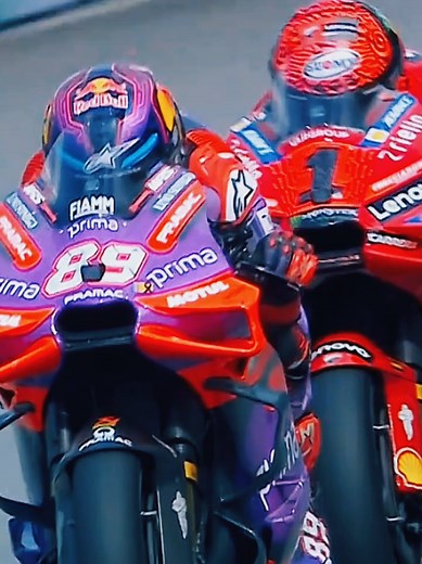 Exciting MotoGP Race Experience for Fans