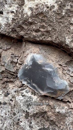 Paleo Foraging on Instagram: "Chert / flint & how I find it. "Flint" in geological terms only refers to chert formed in chalk or marl (like in the Dover Cliffs, England. "Flint" in archaeological terms refers to chert that is usable for flintknapping, and most people are familiar with this meaning. Chert can be a wide variety of grades, some of which can be knapped, others that are too chalky, tough, or large-grained. The amount of organic material in the original deposit determines the quality,