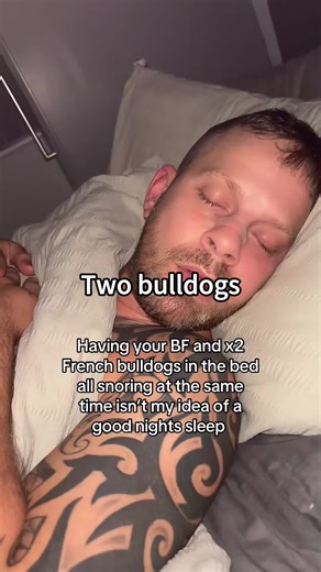 Two bulldogs #dog #funnydog #fyp #dogs #bulldog #funnyvideos